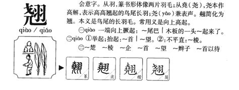 翹名字意思|翹的意思